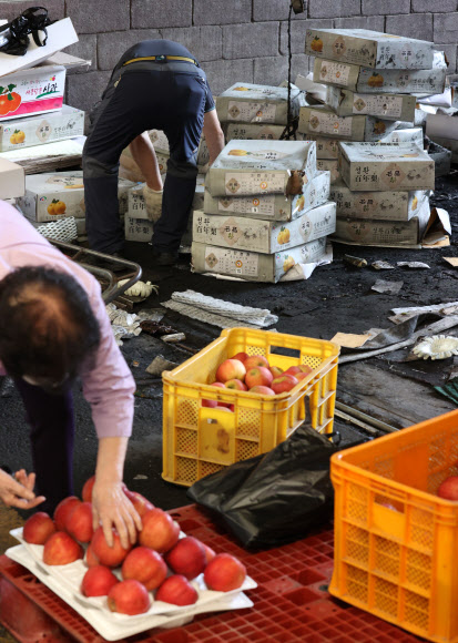 절망을 딛고 다시