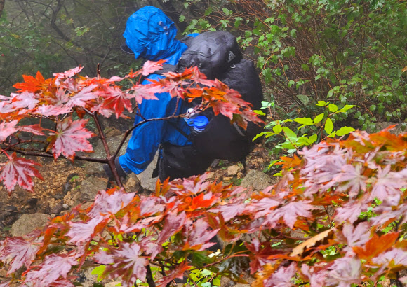 24일 강원 양양군 설악산 국립공원 한계령 구간에서 등산객이 단풍을 감상하며 발걸음을 옮기고 있다. 2020.9.24  연합뉴스