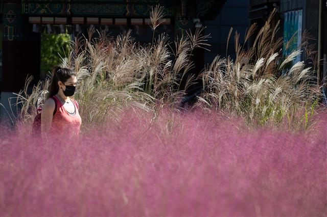 아름다운 한국의 가을