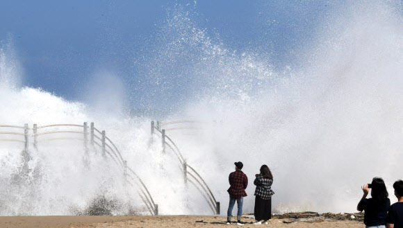 강릉 바다에 높게 치솟는 파도