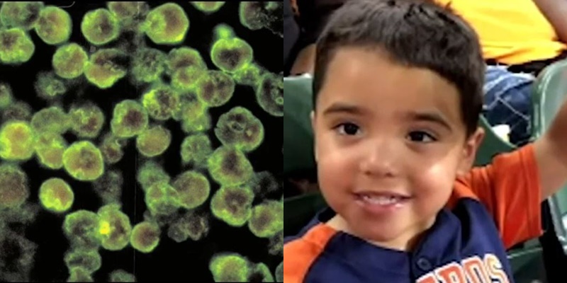 뇌 먹는 아메바. 감염된 6살 소년. 유튜브, 트위터 캡처