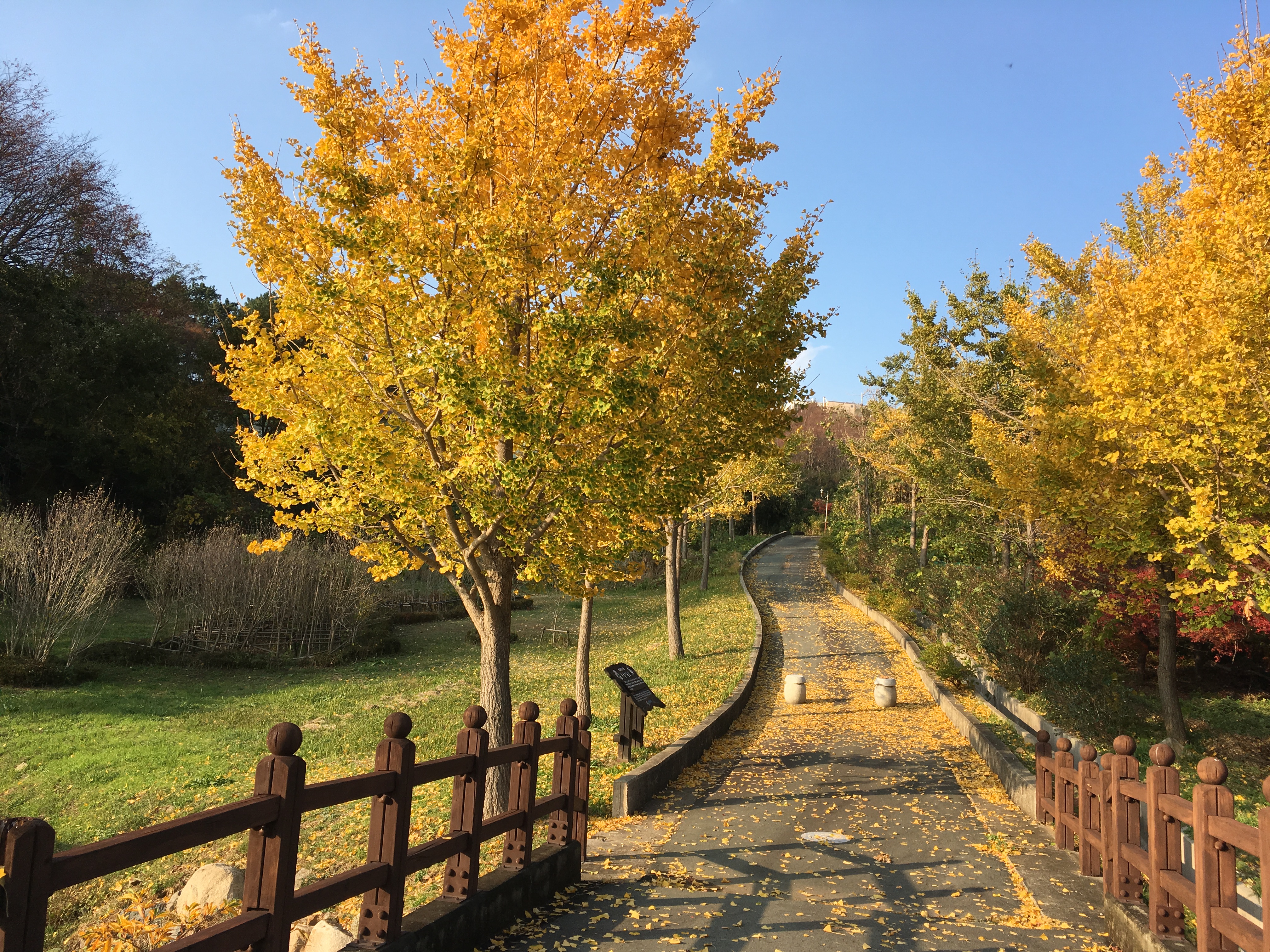 창원시 진해구 드림로드