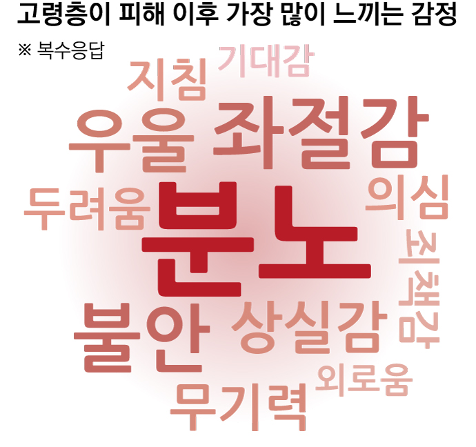 고령층 피해 이후 감정