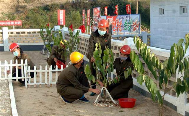 북한 노동당 기관지 노동신문은 5일 “제1 수도당원사단의 불같은 열정에 떠받들려 피해지역에 일떠선 새 마을, 새 살림집들(주택)에 인민들이 들어설 시각은 점점 가까워 오고 있다”라고 보도했다. 북한은 당 창건 75주년 기념일(10월10일)까지 태풍 피해 복구를 마무리하기 위해 박차를 가하고 있다. 사진은 복구 현장에 파견된 평양 당원들.  평양 노동신문=뉴스1