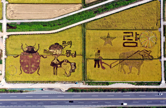 5일 오후 전남 순천시 별량면의 논에 무당벌레, 흑두루미와 짱뚱어, 쟁기질하는 농부를 그린 논아트를 배경으로 500여개의 허수아비가 세워져 가을 정취를 물씬 풍기고 있다. 2020.10.5  연합뉴스