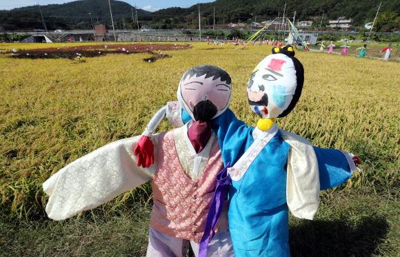 5일 오후 전남 순천시 별량면의 논에 500여개의 허수아비가 세워져 있다. 2020.10.5  연합뉴스