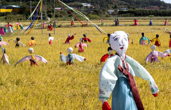 5일 오후 전남 순천시 별량면의 논에 500여개의 허수아비가 세워져 있다. 2020.10.5  연합뉴스