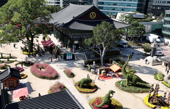 6일 오후 조계사를 찾은 시민들이 국화로 만든 조형물과 핑크뮬리를 보고 있다. 오는 10일부터 조계사에서는 국화향기 나눔전이 열릴 예정이다. 2020.10.6  연합뉴스