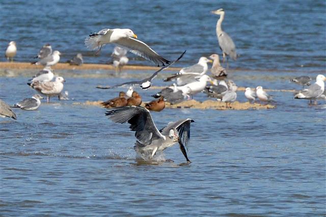 ‘월척 잡았네’