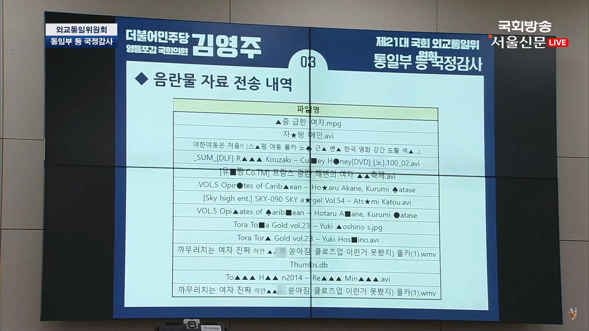 사진은 지난해 10월 8일 열린 국회 외교통일위원회 국정감사에서 더불어민주당 김영주 의원이 민주평화통일자문회의 직원 A씨가 업무용 컴퓨터에서 불법음란물로 추정되는 파일들을 전송한 기록이 나왔다고 밝히면서 해당 기록을 화면에 띄운 모습. 2020.10.8 서울신문 DB