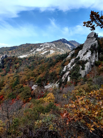 지난달 하순 대청봉을 중심으로 시작된 설악산 단풍이 절정기를 향해 가고 있는 가운데 설악산 계곡이 아름다운 단풍으로 물들고 있다. 사진은 추석 연휴가 끝난 지난 5일 촬영한 설악산 단풍 모습이다. 2020.10.8  연합뉴스