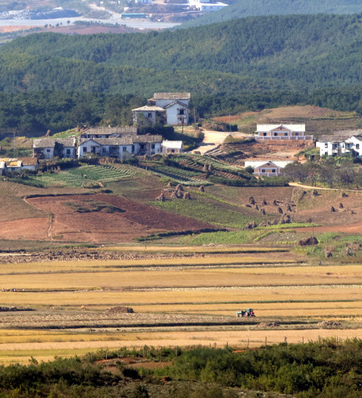 북한 당 창건 75주년 기념일을 이틀 앞둔 8일 오후 파주 오두산통일전망대에서 바라본 북한 황해북도 개풍군 일대에서 북한 주민들이 추수를 하고 있다. 2020.10.8  연합뉴스