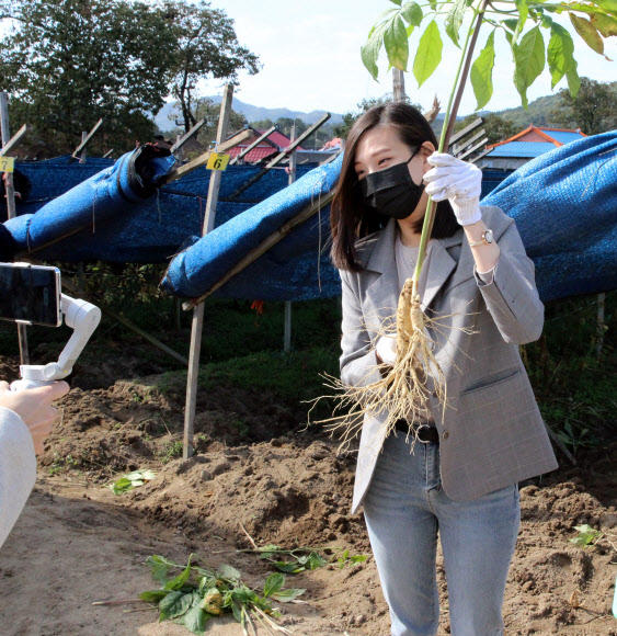 오늘 캔 인삼 들고 기념사진