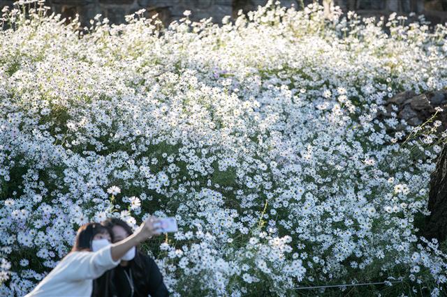 남산에서 만난 가을
