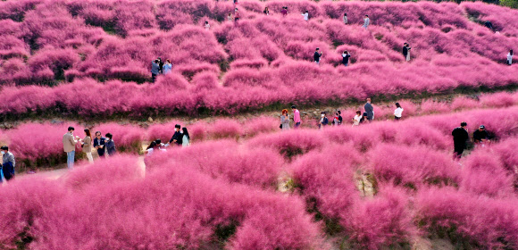 ‘가을은 절정으로’