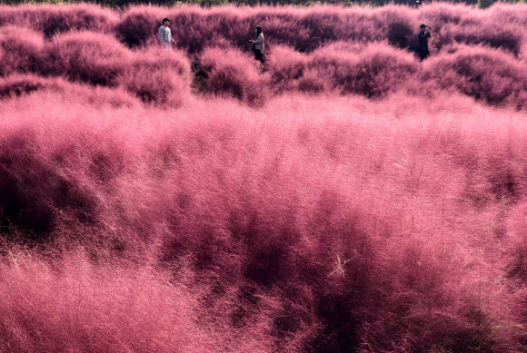 ‘가을은 절정으로’