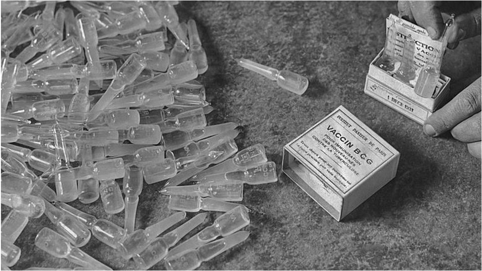   지난 1921년 결핵 예방과 퇴치를 위해 개발된 BCG 백신이 코로나 감염증으로 인한 사망률을 낮추는 데 도움이 되는지 알아보는 영국 엑세터 대학의 실험이 세계적인 연구의 일환으로 진행된다. 사진은 1931년 프랑스 파리의 파스퇴르 연구소 실험실에서 촬영된 백신. AFP 자료사진 