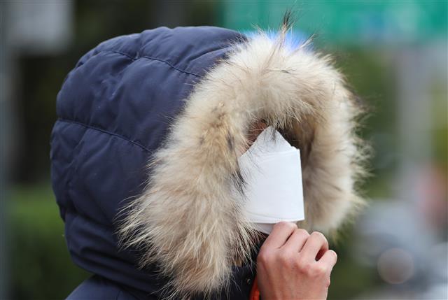 초겨울 추위에 완전무장