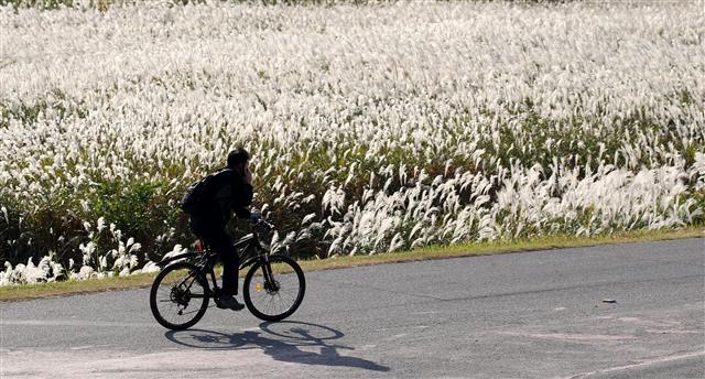 ‘가을을 달린다’