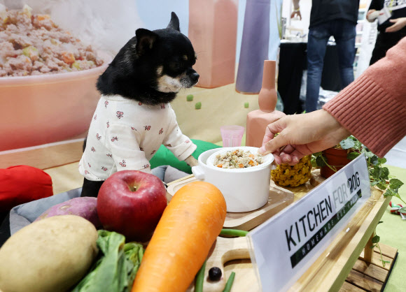 ‘우리 아가를 위한 자연식’