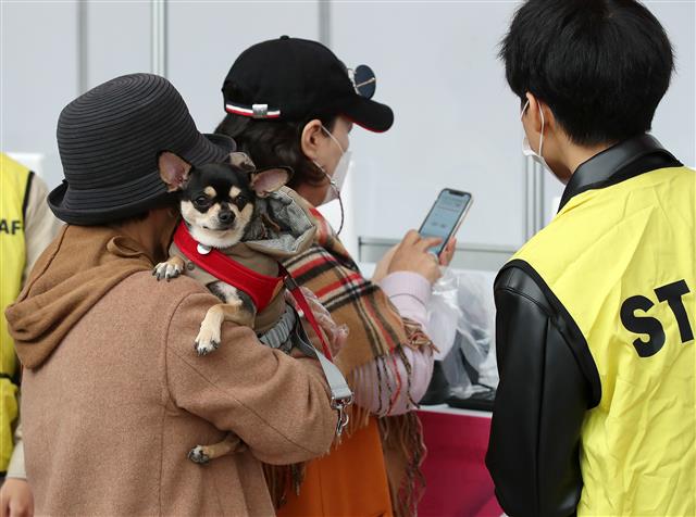 반려동물과 입장 가능한 ‘코리아펫쇼’