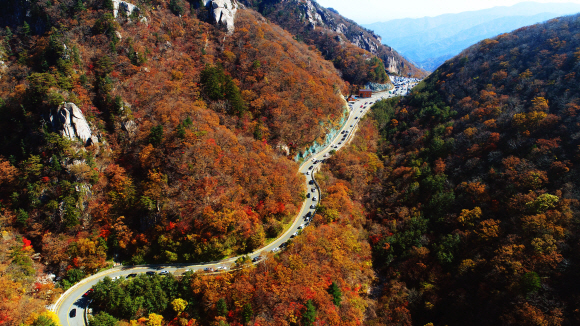 18일 강원도 인제군에서 한계령으로 오르는 길에 형형색색 오색단풍이 가을 향기를 뿜어내고 있다. 2020.10.18 오장환 기자 5zzang@seoul.co.kr