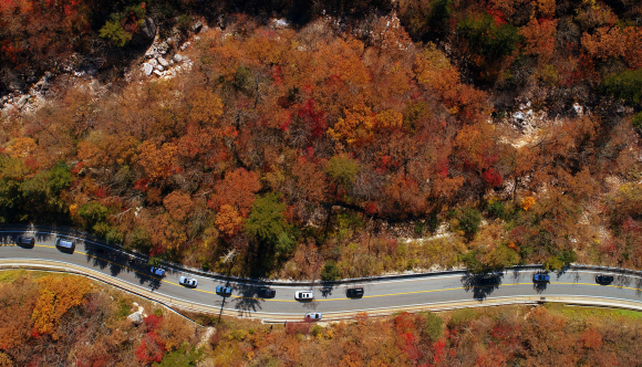 18일 강원도 인제군에서 한계령으로 오르는 길에 형형색색 오색단풍이 가을 향기를 뿜어내고 있다. 2020.10.18 오장환 기자 5zzang@seoul.co.kr