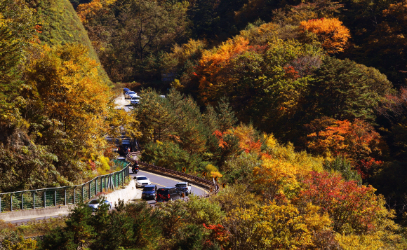 18일 강원도 한계령에서 양양방향으로 내려오는 길에 형형색색 오색단풍이 가을 향기를 뿜어내고 있다. 2020.10.18 오장환 기자 5zzang@seoul.co.kr