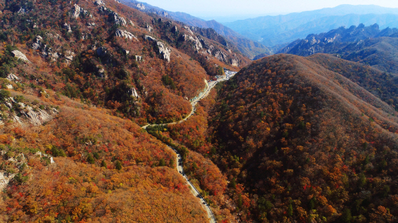 18일 강원도 인제군에서 한계령으로 오르는 길에 형형색색 오색단풍이 가을 향기를 뿜어내고 있다. 2020.10.18 오장환 기자 5zzang@seoul.co.kr