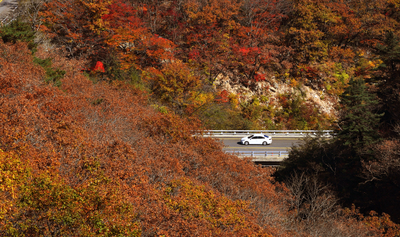 18일 강원도 한계령에서 양양방향으로 내려오는 길에 형형색색 오색단풍이 가을 향기를 뿜어내고 있다. 2020.10.18 오장환 기자 5zzang@seoul.co.kr