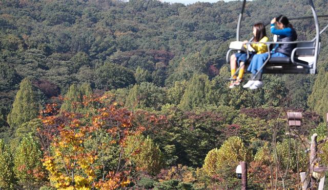 코로나에 잊고 었던 가을정취