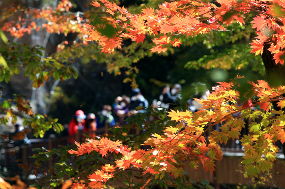 단풍 무르익는 설악산
