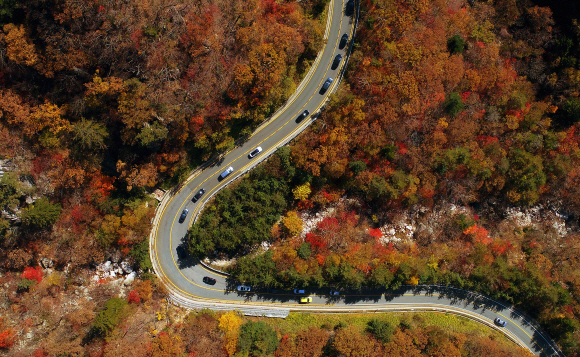 18일 강원도 인제군에서 한계령으로 오르는 길에 형형색색 오색단풍이 가을 향기를 뿜어내고 있다. 2020.10.18 오장환 기자 5zzang@seoul.co.kr