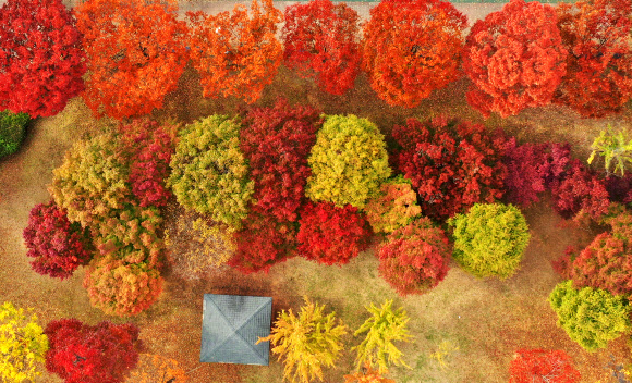 울긋불긋 물들어가는 가을