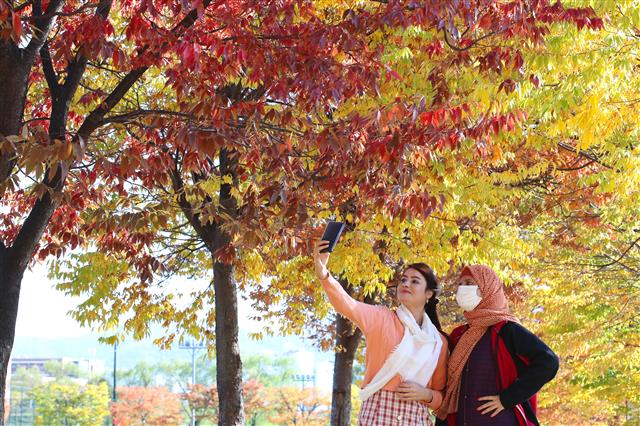 어느새 서리가 내린다는 절기 상강(霜降). 23일 오후 경북 경산시 영남대학교 외국인 유학생들이 단풍이 곱게 물든 캠퍼스에서 한국의 늦가을 정취를 카메라에 담고 있다. 2020.10.23 뉴스1