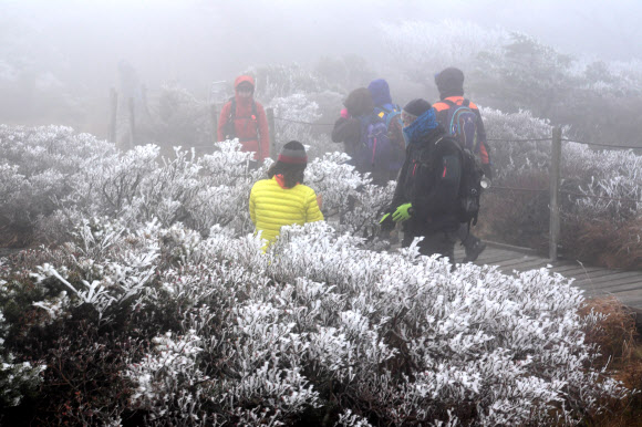 올해 첫 상고대 핀 한라산