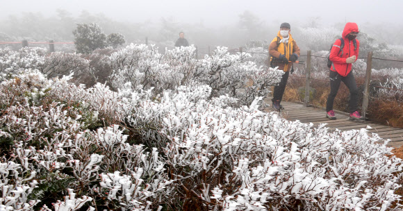 올해 첫 상고대 핀 한라산