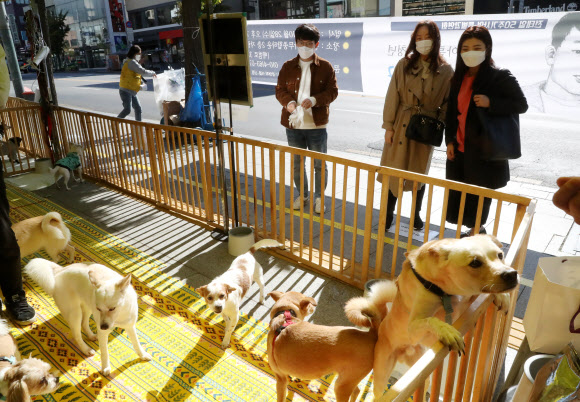 ‘가족이 필요해요!’