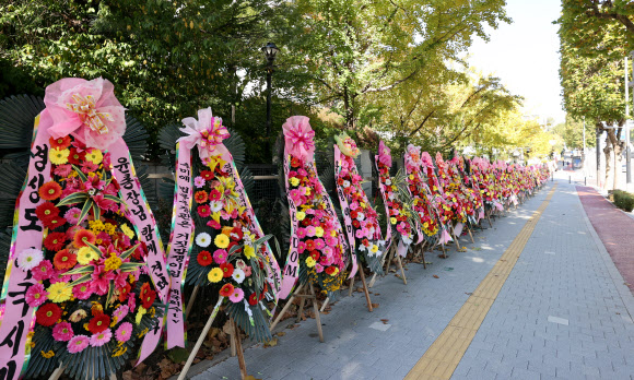 대검 앞에 놓인 윤석열 검찰총장 응원 화환