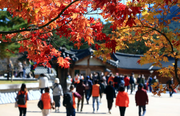 단풍 무르익는 산사의 가을