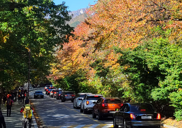 설악산 진입로 정체