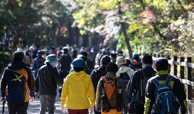 단풍철 ‘산으로 산으로’