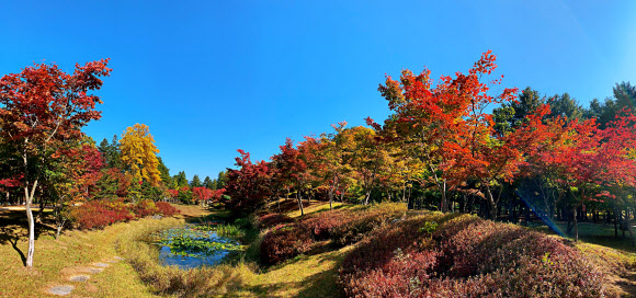 울긋불긋 남이섬