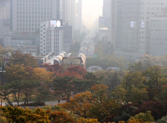 단풍과 미세먼지