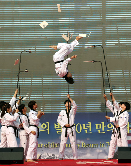 장진호 추모행사 식전 태권도 공연