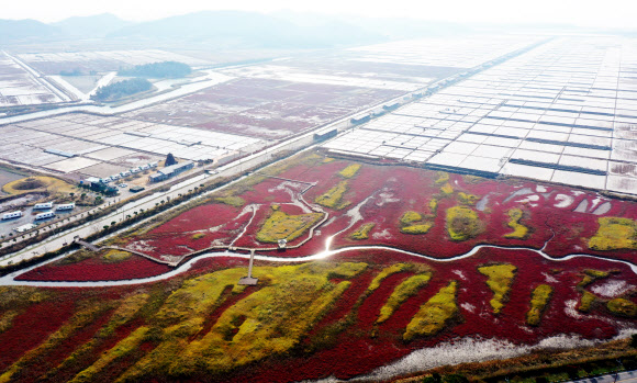 갯벌의 단풍과 태평염전