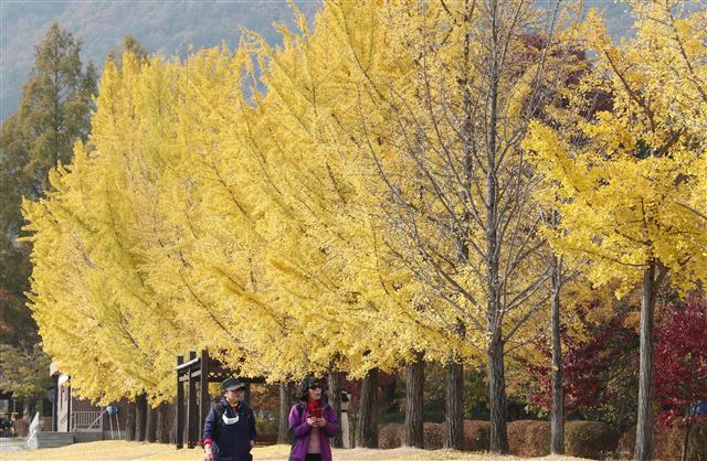 물들어 가는 가을