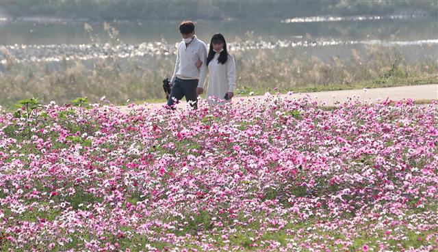 ‘가을 속으로’