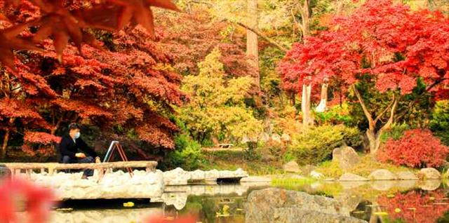 가을 만끽하는 북한…“자연의 감미로운 정서에 함뿍 취해”