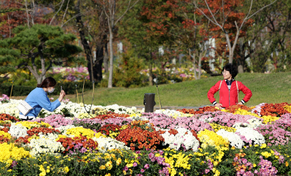 국화꽃 즐기는 모녀